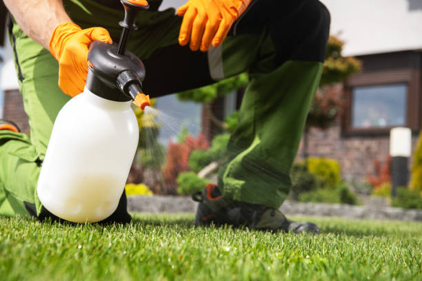 Best Bed Bug Extermination  in Wolfe City, TX