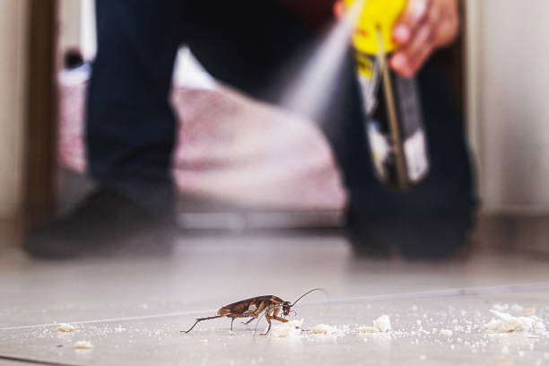 Best Pest Control for Businesses  in Wolfe City, TX