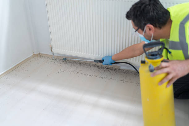 Best Termite Control Services  in Wolfe City, TX