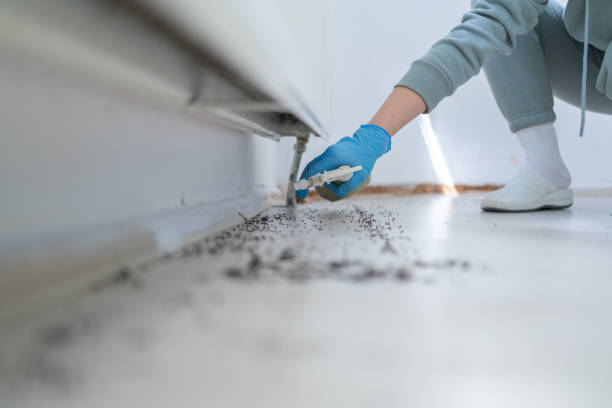 Best Local Pest Control Services  in Wolfe City, TX