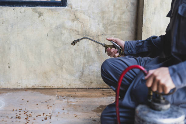 Best Commercial Pest Control Services  in Wolfe City, TX