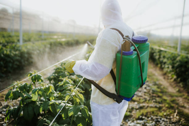 Best Best Pest Control Companies  in Wolfe City, TX